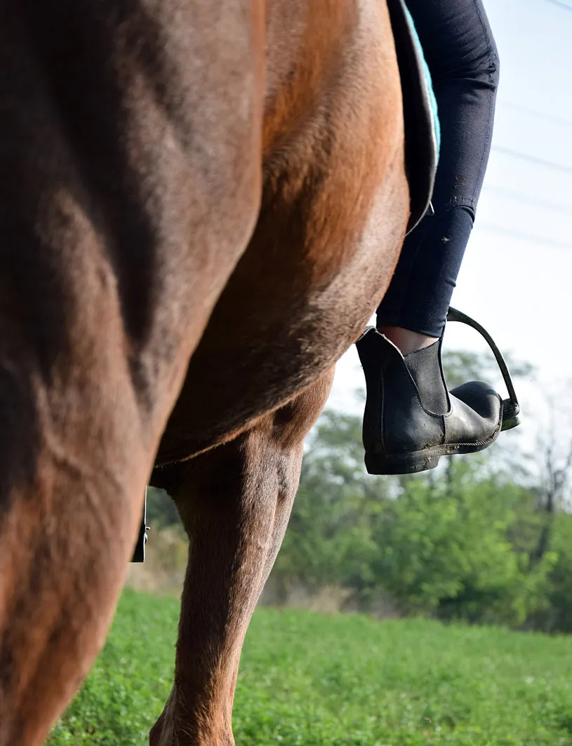 Inspire me Equestrian